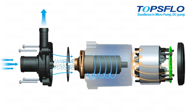 Why Brushless DC Water Pump will Become a New Trend to Replace AC water pump of Fluid Industry in the Future？